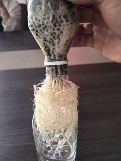 年销售量三十万吨的有机肥生产厂家，全国网点发货，资质齐全，正品保障！有机肥、生物菌肥、微生物肥料等