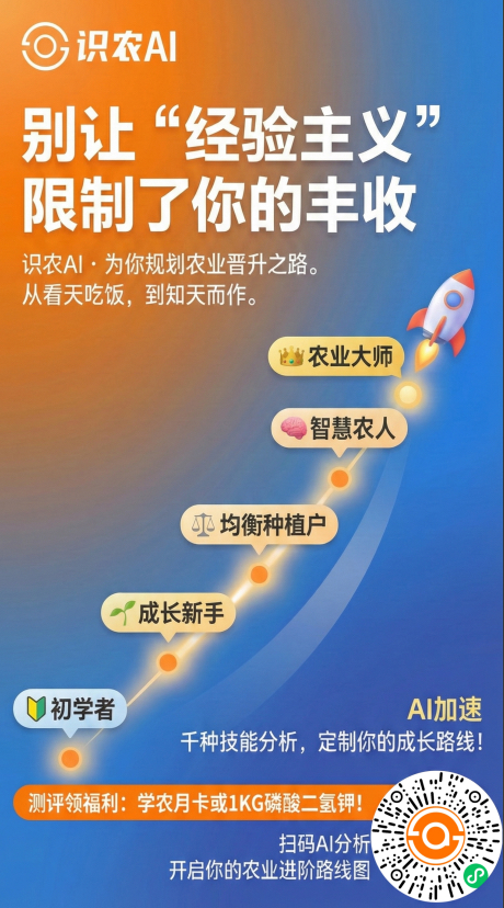 http://st-static1.yhtfof.com/forums/2025/11/27/17642315792371.png