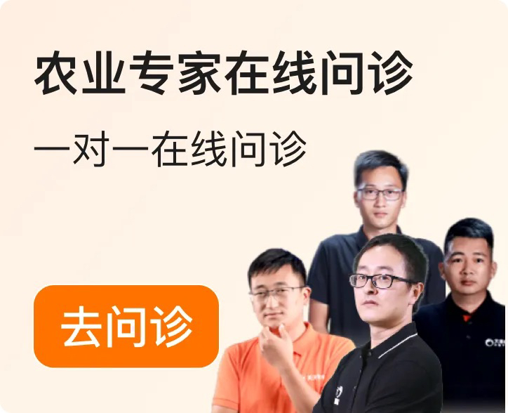 http://st-static1.yhtfof.com/forums/2025/12/04/17648348949299.png