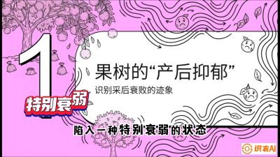 第2节：【冬肥策略】采后&ldquo;月子肥&rdquo;：大小年的精准干预术，课程：《柑橘底肥&ldquo;翻身账&rdquo;：从改土到高产的实战全书》