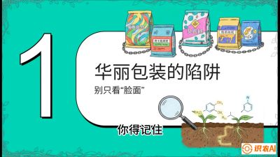 第4节：【黄金配方】底肥里的&ldquo;铁三角&rdquo;与&ldquo;微量雷区&rdquo;课程：《柑橘底肥&ldquo;翻身账&rdquo;：从改土到高产的实战全书》