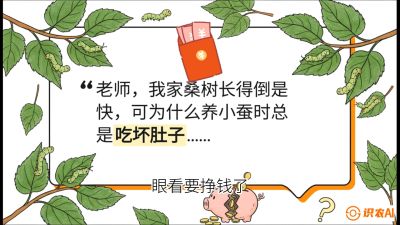第01节：不仅仅是树&mdash;&mdash;顶级品种选配策略，课程：《桑海淘金：桑树高产与蚕桑安全进阶实战课》