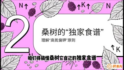 第04节：地下核动力&mdash;&mdash;桑树专用水肥一体化配方，课程：《桑海淘金：桑树高产与蚕桑安全进阶实战课》