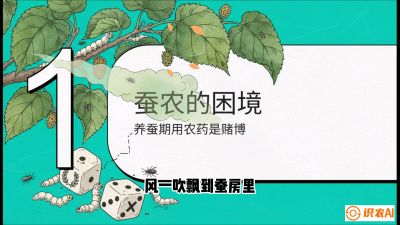 第06节：虫口夺叶（上）&mdash;&mdash;物理与生物防控绝技，课程《桑海淘金：桑树高产与蚕桑安全进阶实战课》