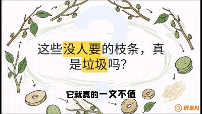 第12节：变废为宝&mdash;&mdash;循环农业实操，课程：《桑海淘金：桑树高产与蚕桑安全进阶实战课》