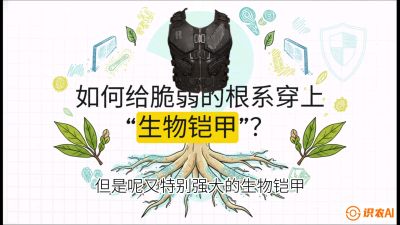 第三节：国产榴莲突围战：根系堡垒，菌根微生态构建与黄金定植窗口，课程：《国产榴莲突围战：从泰国经验到中国实操的8堂必修课（高阶实战版）》