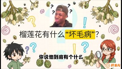 第六节：榴莲的午夜战事，夜间授粉战与花果期避雨策略，课程：《国产榴莲突围战：从泰国经验到中国实操的8堂必修课（高阶实战版）》