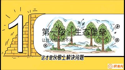 第七节：榴莲防御战：病虫害三级立体防控，疫霉菌与虫害的立体封锁线，课程：《国产榴莲突围战：从泰国经验到中国实操的8堂必修课（高阶实战版）》