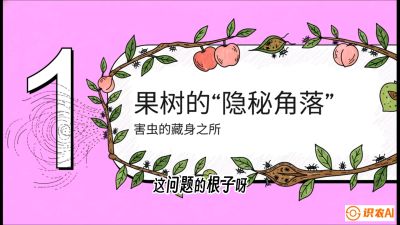 第3节：无人机专治&ldquo;打不透&rdquo;&mdash;&mdash;果树与高杆作物的穿透技巧，课程：《无人机植保搞钱必修课：从&ldquo;瞎飞&rdquo;到&ldquo;懂行&rdquo;的6步进阶》
