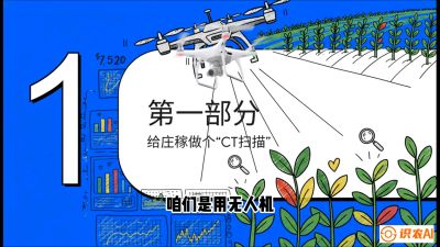 第5节：无人机也能&ldquo;看病抓药&rdquo;&mdash;&mdash;处方图与变量施肥入门，课程：《无人机植保搞钱必修课：从&ldquo;瞎飞&rdquo;到&ldquo;懂行&rdquo;的6步进阶》