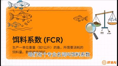 第五节：【高端单品&middot;鳜鱼】&ldquo;饲料鳜&rdquo;技术：打破吃活饵的高成本魔咒，课程：《黄金鳞甲：2025中国淡水鱼高效养殖实战营》