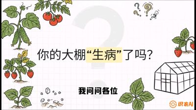 第2节（解毒篇）： 大棚里的&ldquo;红白绿&rdquo;警报&mdash;&mdash;读懂土壤盐渍化的求救信号，课程：《揭秘土壤的秘密：让土地帮你赚钱》#识农AI