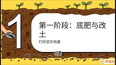 第6节（统筹篇）： 省钱又增产的&ldquo;黄金配比&rdquo;&mdash;&mdash;不同作物全年的养土实操方案，课程：《揭秘土壤的秘密：让土地帮你赚钱》#识农AI