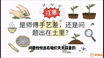 第02节（土肥篇）：告别&ldquo;苦涩水味&rdquo;：揭秘&ldquo;碳氮比&rdquo;调控术，种出自带兰花香的好茶底，课程：《茶金时代：从&ldquo;看天吃饭&rdquo;到&ldquo;精准控局&rdquo;的茶叶高产提质实战课》