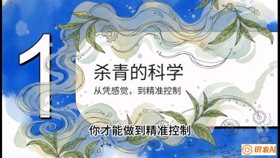 第05节（加工篇）：决胜2分钟：用&ldquo;数字温控&rdquo;破解杀青不匀，复刻大师级手工口感，课程：《茶金时代：从&ldquo;看天吃饭&rdquo;到&ldquo;精准控局&rdquo;的茶叶高产提质实战课》
