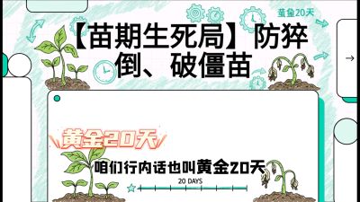 第2节：【苗期生死局】防猝倒、破僵苗，决定后期产量的&ldquo;黄金20天&rdquo;，课程：《辣椒种植实战特训营，从工业辣椒到精品小米辣，教你如何把&ldquo;草&rdquo;种成&ldquo;金&rdquo;》