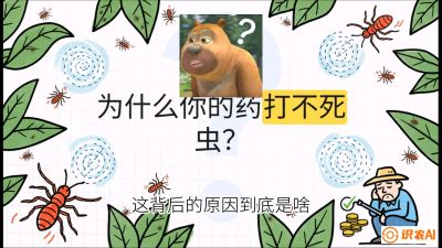第4节：【虫害歼灭战】打不死的蓟马、隐形的茶黄螨：抗性时代的&ldquo;混配绝杀&rdquo;，课程：《辣椒种植实战特训营，从工业辣椒到精品小米辣，教你如何把&ldquo;草&rdquo;种成&ldquo;金&rdquo;》