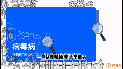 第5节：【病毒病阻击】辣椒的&ldquo;癌症&rdquo;怎么治？从&ldquo;绝收恐慌&rdquo;到&ldquo;带毒生产&rdquo;的逆转术，课程：《辣椒种植实战特训营，从工业辣椒到精品小米辣，教你如何把&ldquo;草&rdquo;种成&ldquo;金&rdquo;》