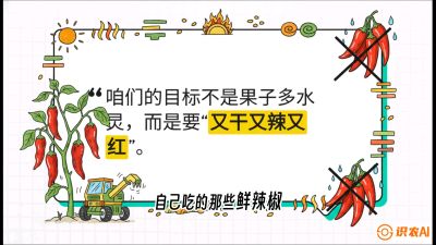 第7节：【工业辣椒专场】追求极致辣度！干物质提升与机械化采收的&ldquo;催红秘籍&rdquo;，课程：《辣椒种植实战特训营，从工业辣椒到精品小米辣，教你如何把&ldquo;草&rdquo;种成&ldquo;金&rdquo;》