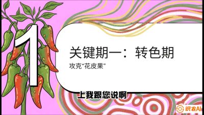 第8节：【小米辣线椒专场】颜值即正义！防花皮、防炭疽，打造收购商抢着要的&ldquo;精品果&rdquo;，课程：《辣椒种植实战特训营，从工业辣椒到精品小米辣，教你如何把&ldquo;草&rdquo;种成&ldquo;金&rdquo;》