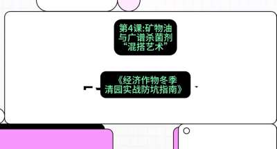 第4节：【替代方案】矿物油与广谱杀菌剂的&ldquo;混搭艺术&rdquo;，课程：《经济作物冬季清园&middot;实战防坑指南》#识农AI