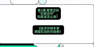 第3节：【核武药剂】爱恨交织的&ldquo;石硫合剂&rdquo;，到底该怎么用？，课程：《经济作物冬季清园&middot;实战防坑指南》#识农AI