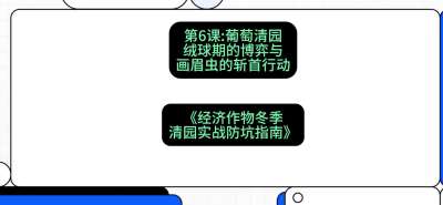 第6节：【葡萄清园】绒球期的博弈与画眉虫的&ldquo;斩首行动&rdquo;，课程：《经济作物冬季清园&middot;实战防坑指南》#识农AI