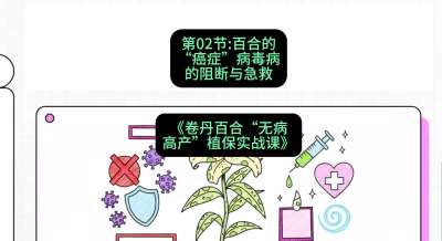 第02节：百合的&ldquo;癌症&rdquo;&mdash;&mdash;病毒病的阻断与急救，课程：《卷丹百合&ldquo;无病高产&rdquo;植保实战课》#识农AI