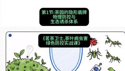 第01节：茶园的&ldquo;隐形盾牌&rdquo;&mdash;&mdash;物理防控与生态诱杀体系，课程：《茗茶卫士&mdash;&mdash;茶叶病虫害绿色防控实战课》#识农AI