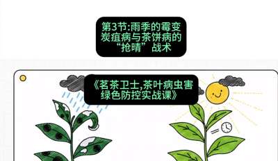 第03节：雨季的霉变&mdash;&mdash;炭疽病与茶饼病的&ldquo;抢晴&rdquo;战术，课程：《茗茶卫士&mdash;&mdash;茶叶病虫害绿色防控实战课》#识农AI