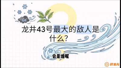 第04节：龙井双璧&mdash;&mdash;龙井43与群体种的差异化护养（重点），课程：《茗茶卫士&mdash;&mdash;茶叶病虫害绿色防控实战课》#识农AI