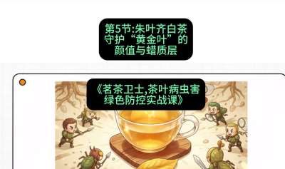 第05节：朱叶齐白茶&mdash;&mdash;守护&ldquo;黄金叶&rdquo;的颜值与蜡质层（重点），课程：《茗茶卫士&mdash;&mdash;茶叶病虫害绿色防控实战课》#识农AI