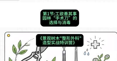 第01节：工欲善其事&mdash;&mdash;园林&ldquo;手术刀&rdquo;的选择与消毒，课程：《景观树木&ldquo;整形外科&rdquo;造型实战特训营》#识农AI