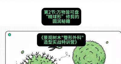 第02节：万物皆可盘&mdash;&mdash;&ldquo;精球形&rdquo;修剪的圆润秘籍，课程：《景观树木&ldquo;整形外科&rdquo;造型实战特训营》#识农AI