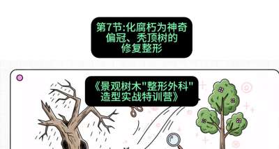 第07节：化腐朽为神奇&mdash;&mdash;偏冠、秃顶树的修复整形，课程：《景观树木&ldquo;整形外科&rdquo;造型实战特训营》#识农AI