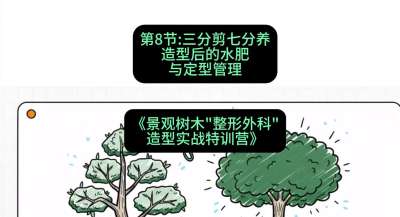 第08节：三分剪七分养&mdash;&mdash;造型后的水肥与定型管理，课程：《景观树木&ldquo;整形外科&rdquo;造型实战特训营》#识农AI