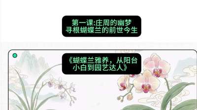 第一节：庄周的幽梦：寻根蝴蝶兰的前世今生，课程：《蝴蝶兰雅养六讲：从阳台小白到园艺达人》#识农AI