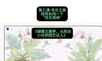 第三节：寻光之旅：给阳台找一个&ldquo;仿生雨林&rdquo;，课程：《蝴蝶兰雅养六讲：从阳台小白到园艺达人》#识农AI