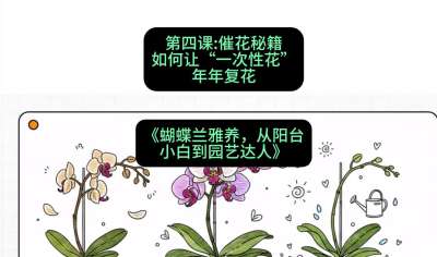 第四节：催花秘籍：如何让&ldquo;一次性花&rdquo;年年复花，课程：《蝴蝶兰雅养六讲：从阳台小白到园艺达人》#识农AI
