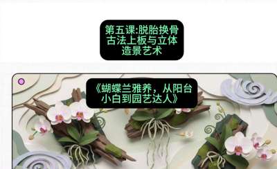 第五节：脱胎换骨：古法上板与立体造景艺术，课程：《蝴蝶兰雅养六讲：从阳台小白到园艺达人》#识农AI