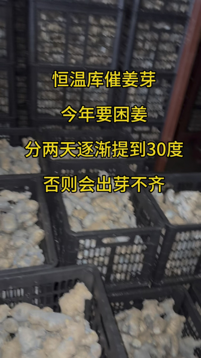 恒温库催芽