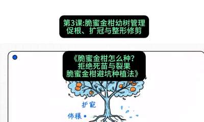 第3节：脆蜜金柑幼树管理：促根、扩冠与整形修剪，课程：《脆蜜金柑怎么种？拒绝死苗与裂果，脆蜜金柑8步避坑种植法》#识农AI