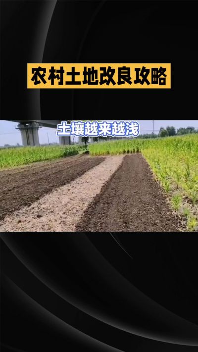 1. 先搞懂：你到底要改良哪块地、种什么
 
- 土土土在哪里？
就是你自家农田、菜地、果园，哪块地想种庄稼，就测哪块地的土。
​
- 有水没有水？
有水能浇：改良更省事，施肥、调酸碱都好操作。
没水