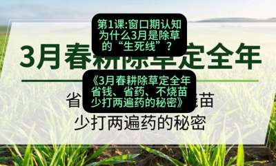 第1节：窗口期认知，为什么3月是除草的&ldquo;生死线&rdquo;？，课程：《3月春耕除草定全年：省钱、省药、不烧苗、少打两遍药的秘密》